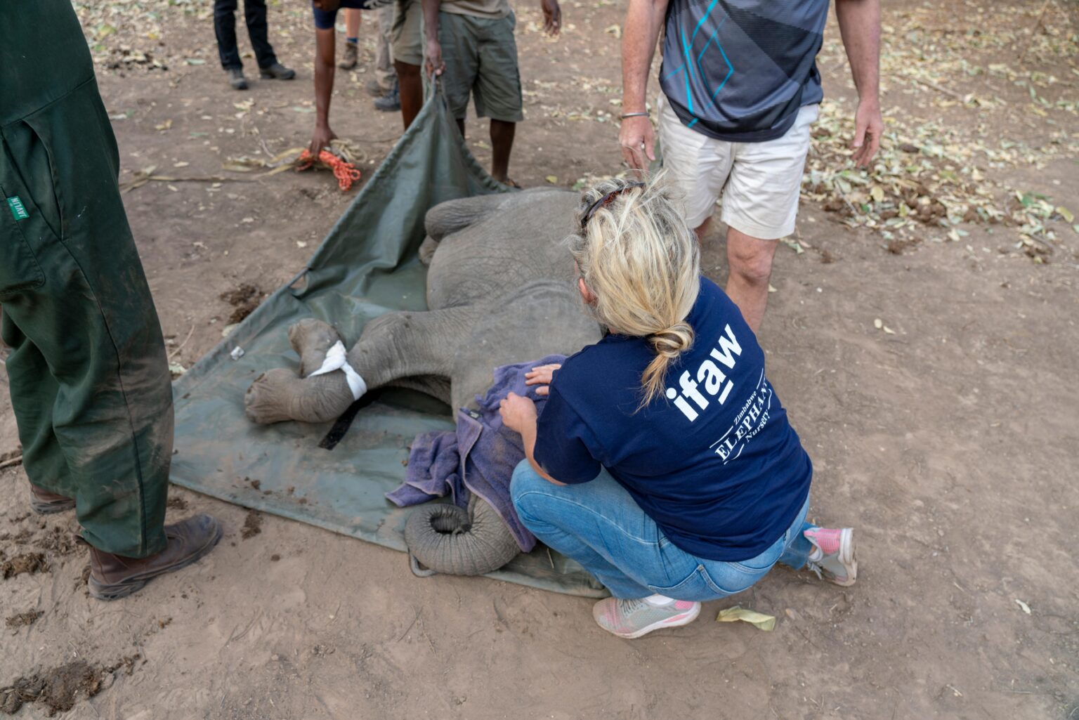 Animal Rescue