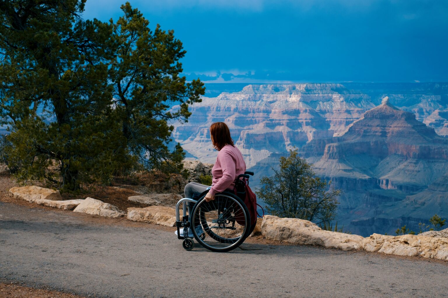 Disability